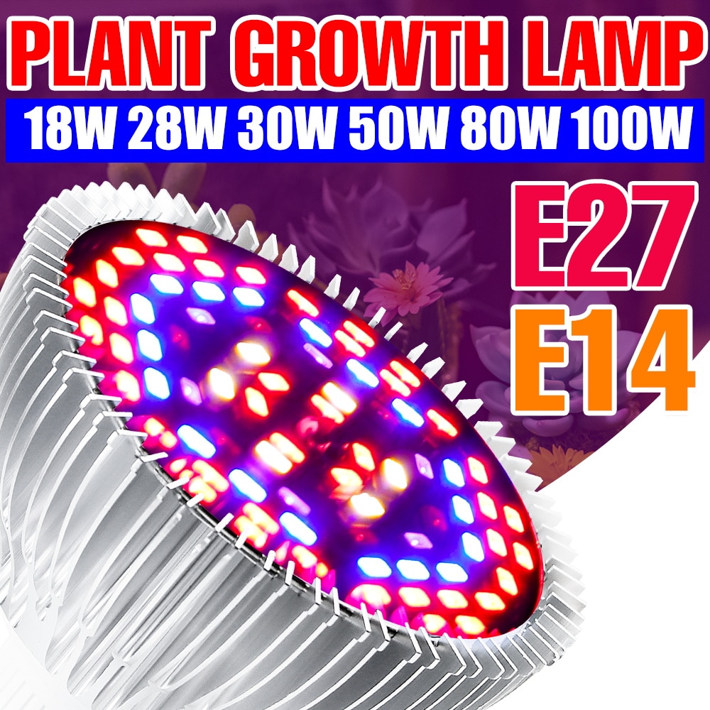 LED   E27 Ĺ  220V Ǯ Ʈ ䷥ E..